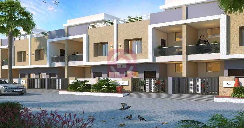 Sigma Greens Cover Image